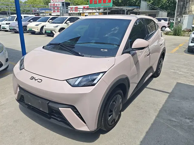 BYD Seagull 2024 Glory Edition 305km Vitality Edition
