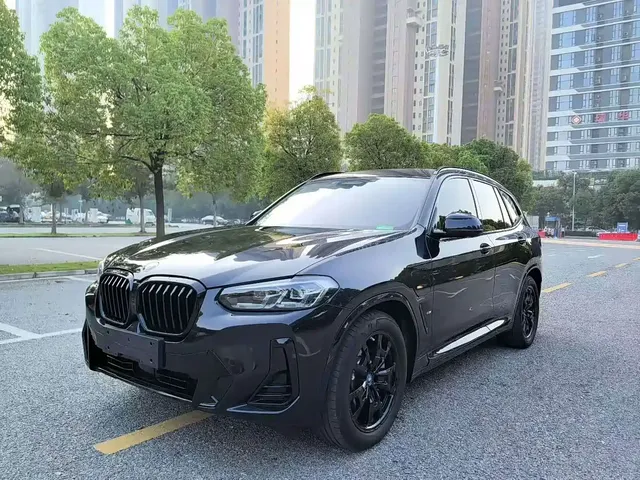 BMW iX3 2023 Leading Type