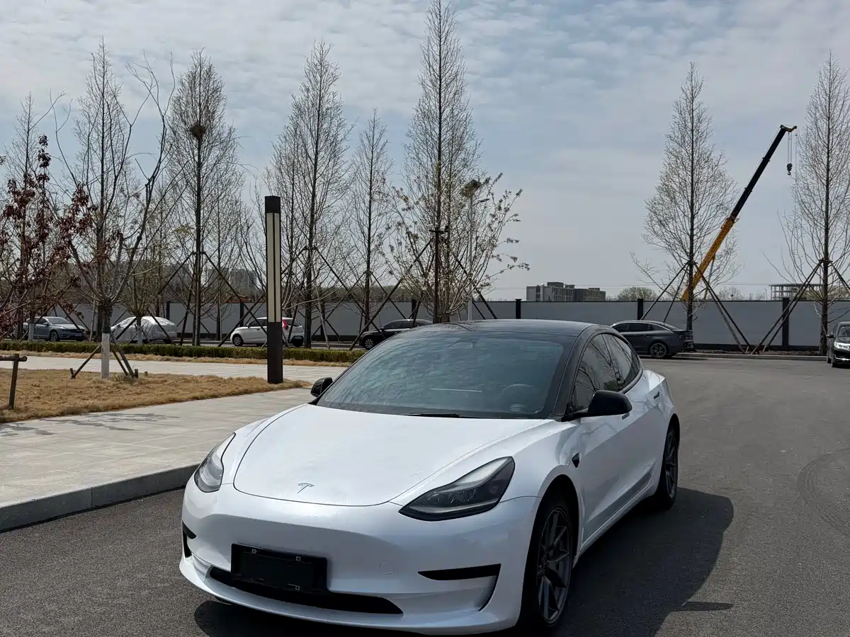 Tesla Model 3 2020 Facelift Standard Range RWD Upgrade