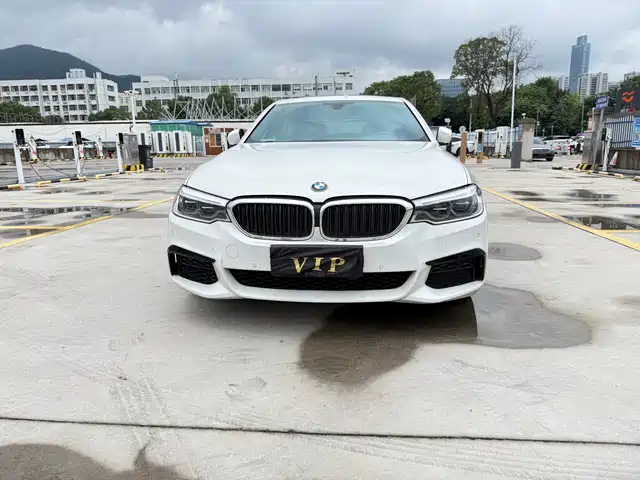 BMW 5 Series 2020 530Li Leading M Sport Package