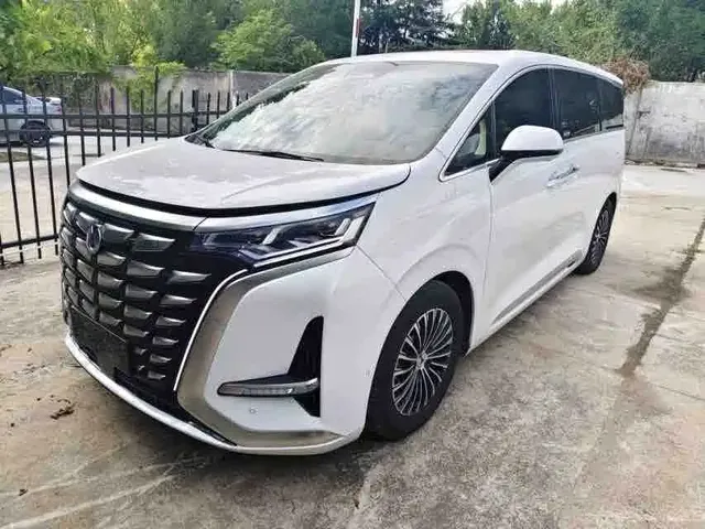 Denza D9 2024 DM-i 980 AWD Flagship
