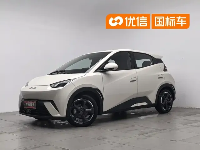 BYD Seagull 2024 Glory Edition 405km Soaring Edition