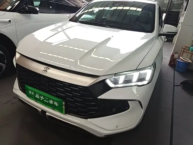 BYD Song Pro New Energy 2023 Champion Edition DM-i 110KM Excellence