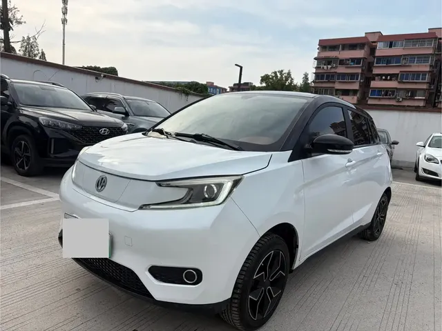 Electric House YOUNG Guang Xiaoxin 2021 Model S400 5-seater