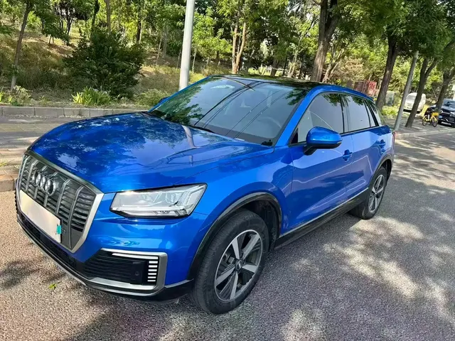 Audi Q2L e-tron 2019 Q2L e-tron Pure Electric Smart Cool Edition