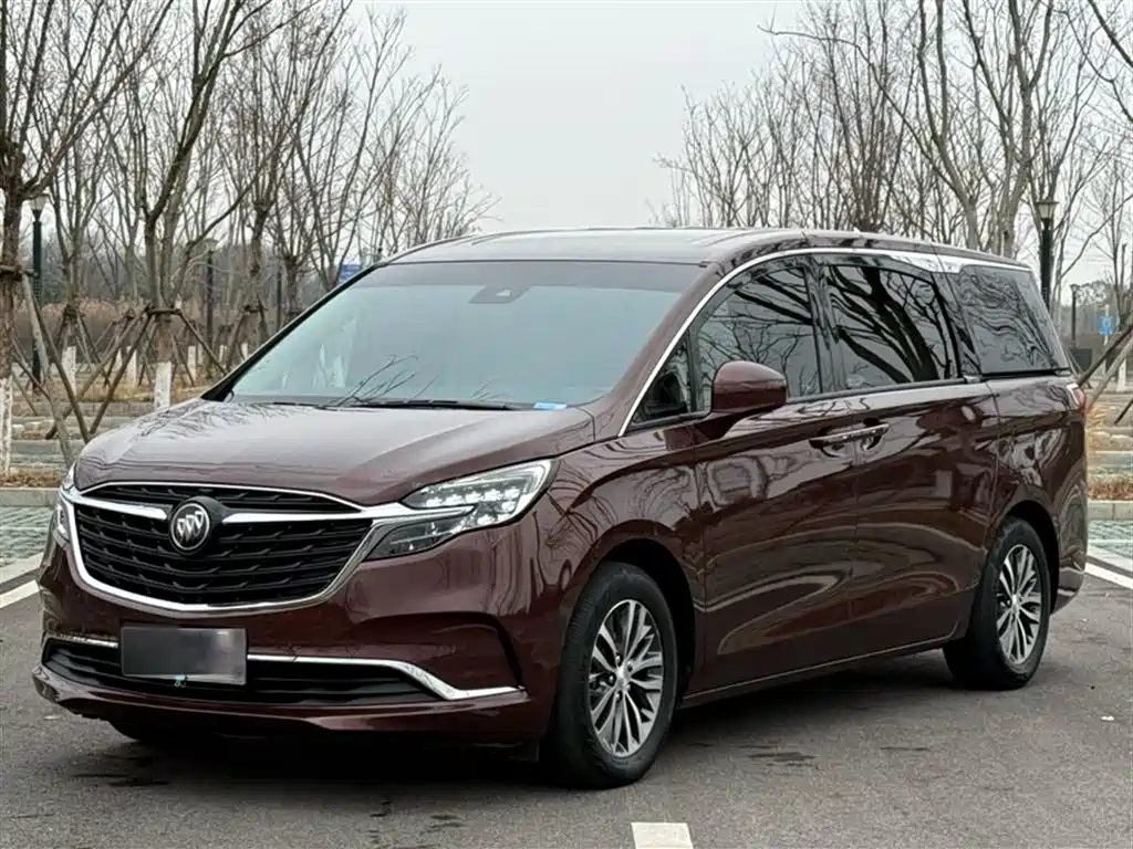 Buick GL8 2022 ES Landmark 653T Premium