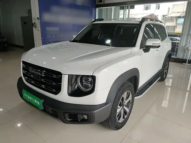 Haval Big Dog 2021 1.5T DCT 2WD Labrador Edition