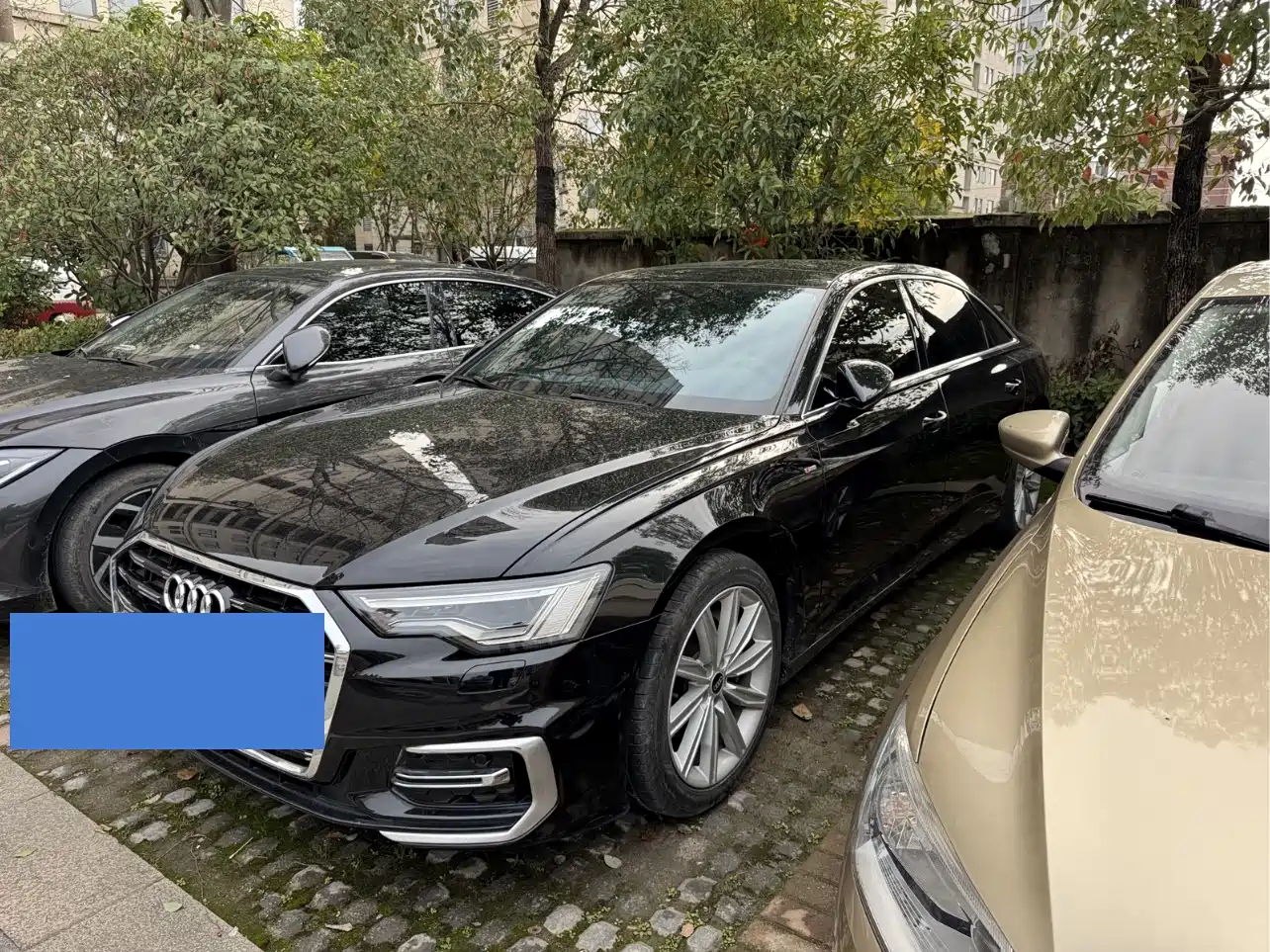 Audi A6L 2023 45 TFSI Premium Selection Dynamic