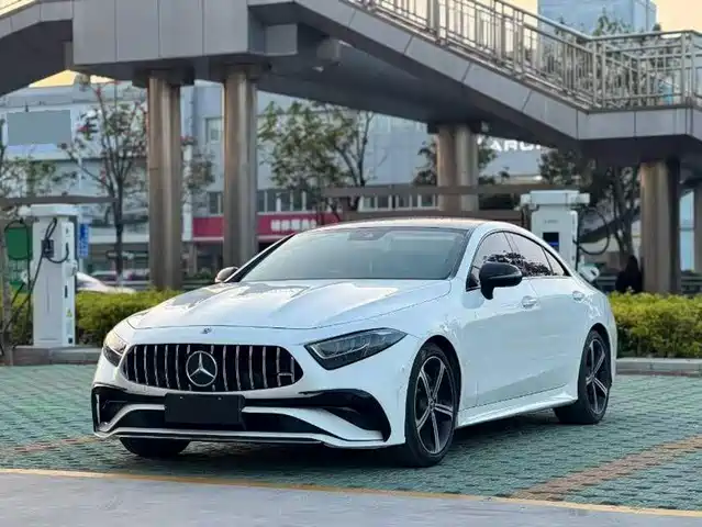 Mercedes-Benz CLS 2020 CLS 300 Luxury