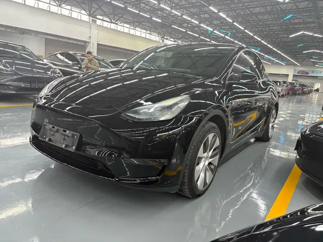 Tesla Model Y 2021 Standard Range Rear-Wheel Drive
