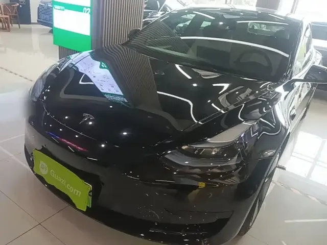 Tesla Model 3 2022 Model Rear-Wheel Drive Version