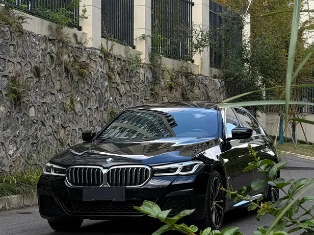 BMW 5 Series 2021 530Li Leading M Sport Package
