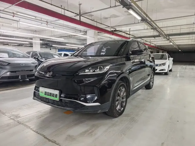 Weltmeister EX5 2019 EX5 Mate Power Alliance Edition 400