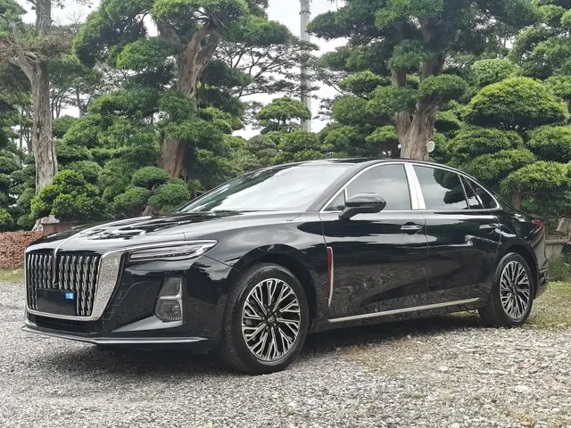 Hongqi H5 2025 2.0T Automatic Flag Celebration 500,000 Units Anniversary Edition