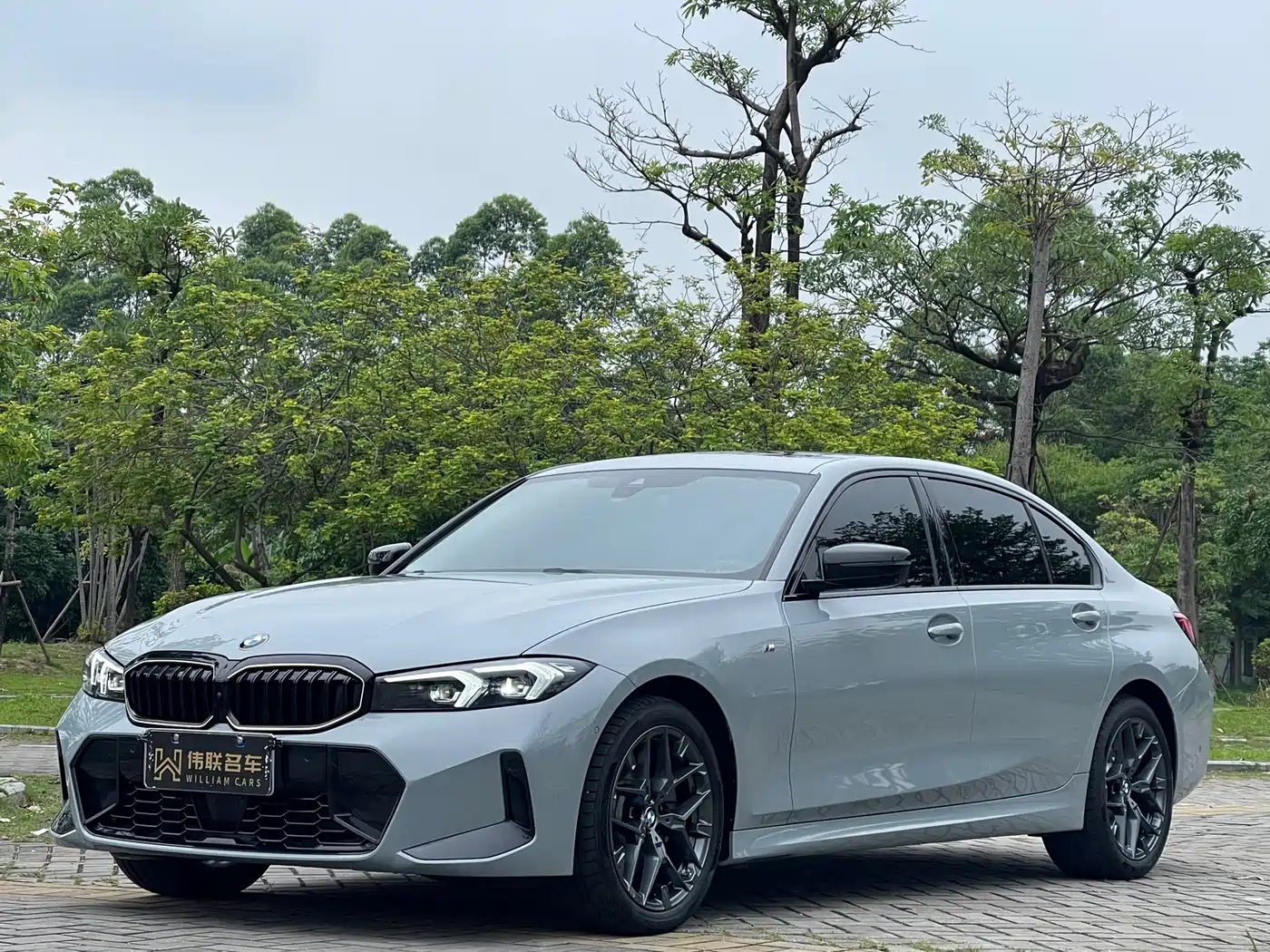 BMW 3 Series 2025 330Li M Sport Night Edition