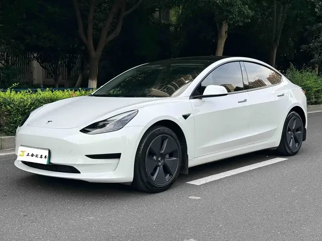 Tesla Model 3 2022 Model Rear-Wheel Drive Version