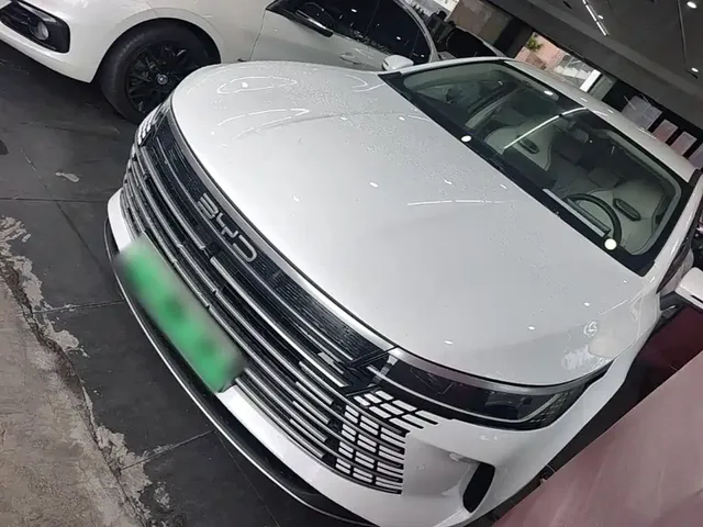 BYD Destroyer 05 2024 Glory Edition DM-i 55KM Luxury