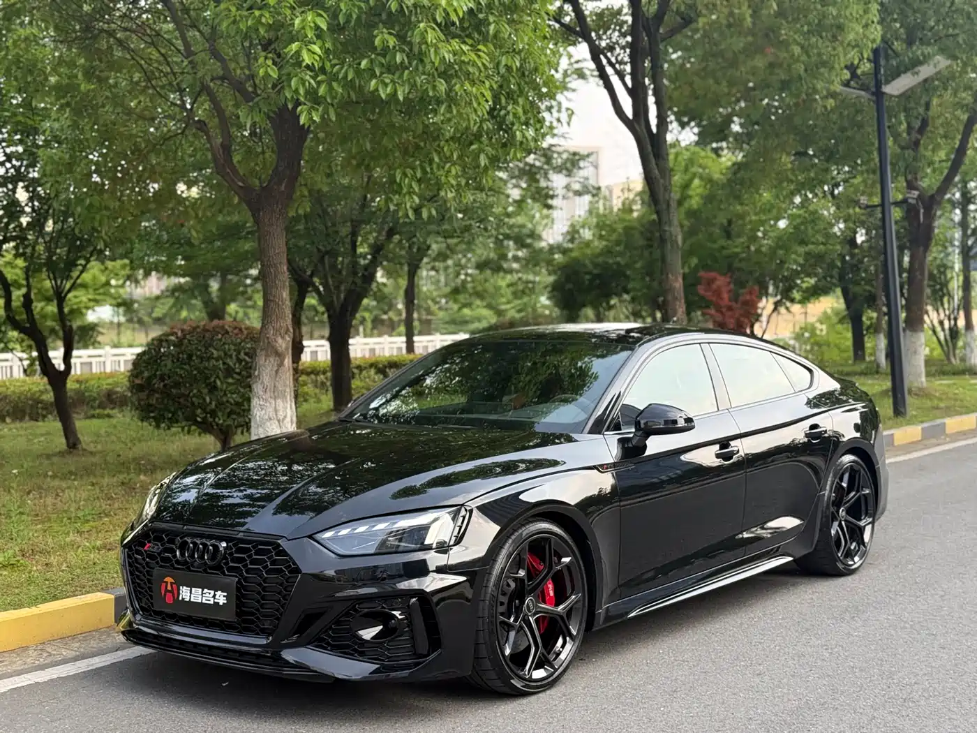 Audi RS 5 2024 RS 5 2.9T Sportback Ultimate Edition