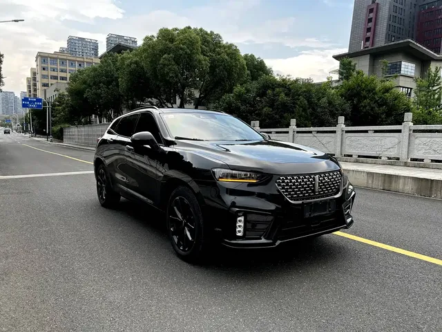 WEY VV7 2020 2.0T Super Luxury