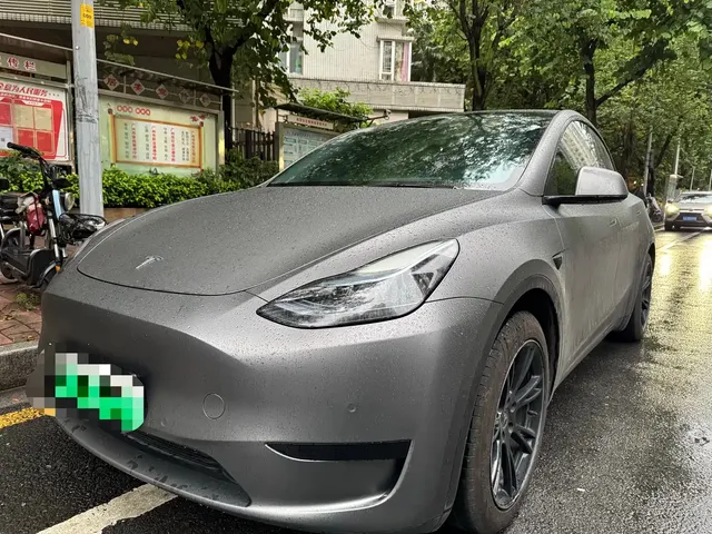Tesla Model Y 2022 Rear-Wheel Drive Version
