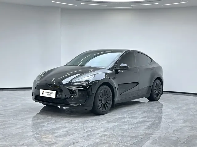 Tesla Model Y 2022 Facelift Rear-Wheel Drive Version