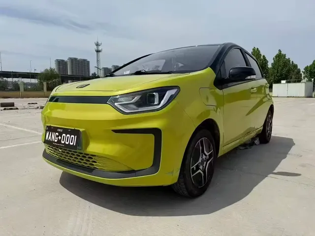 Sehol Flower Fairy 2021 302km Luxury 30.2kWh