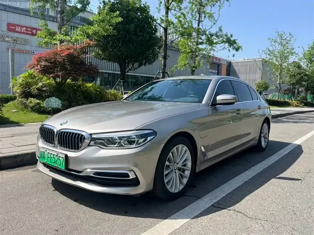 BMW 5 Series New Energy 2020 530Le Luxury Package