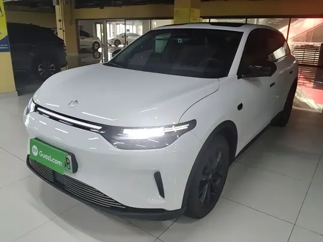 Leapmotor C11 2023 Pure Electric 500 Comfort Edition