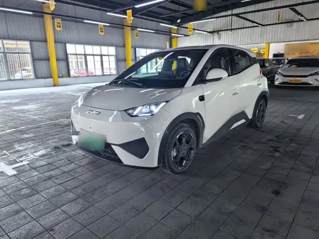 BYD Seagull 2025 Smart Drive Edition 305km Freedom Version