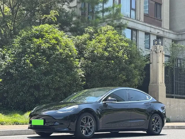 Tesla Model 3 2020 Standard Range Rear-Wheel Drive Upgrade