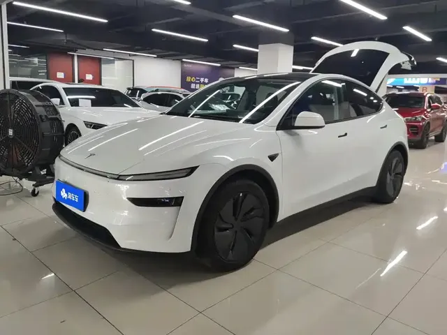 Tesla Model Y 2025 Model Long Range All-Wheel Drive Launch Edition