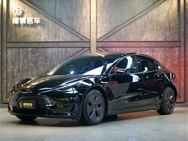 Tesla Model 3 2022 Model Rear-Wheel Drive Version