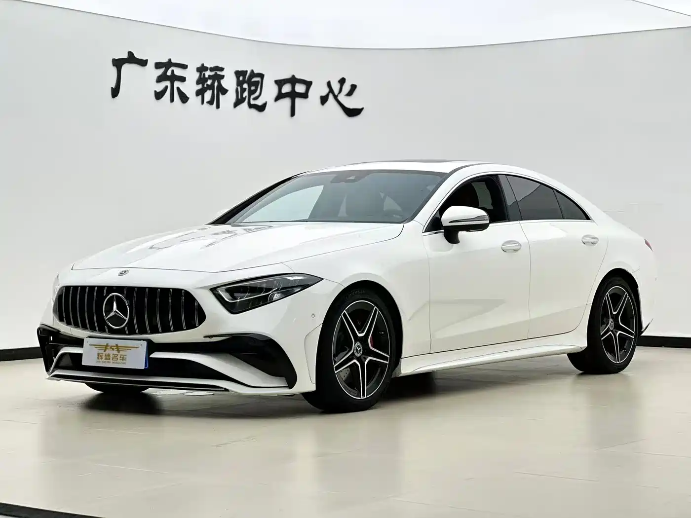 Mercedes-Benz CLS 2023 Model CLS 300 Luxury Version