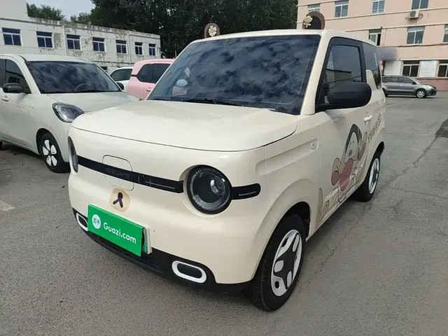 Geely Galaxy Panda 2025 Panda mini 210km Vitality Bear