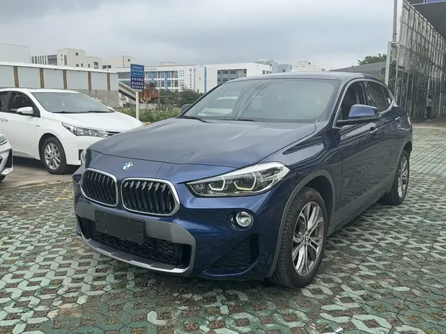 BMW X2 (Import) 2019 sDrive25i Leading M Off-Road Package China VI