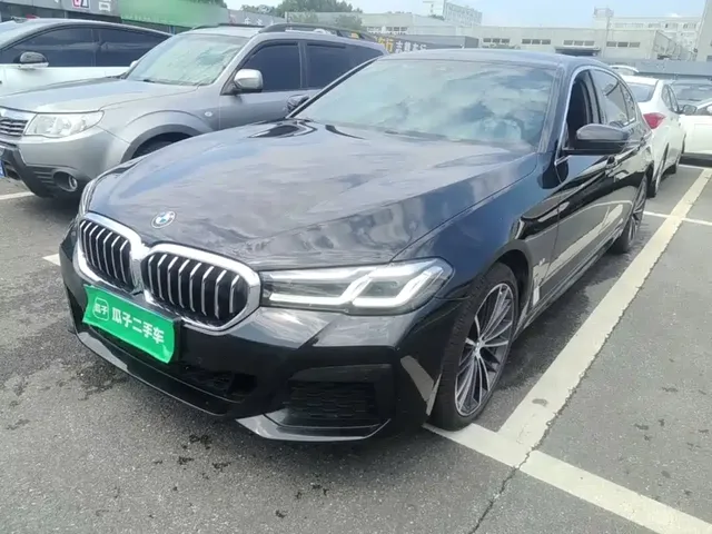 BMW 5 Series 2021 530Li Leading M Sport Package