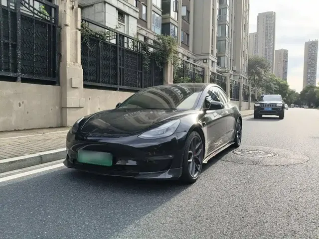 Tesla Model 3 2021 Performance High-Performance All-Wheel Drive