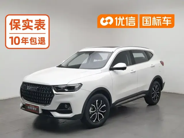 Haval H6 2023 National Trend Edition 1.5T Automatic Urban
