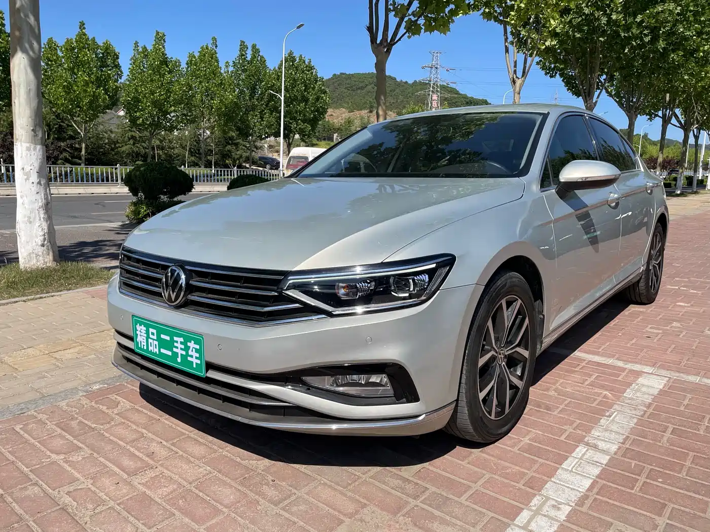 Volkswagen Magotan 2020 330TSI DSG Leading
