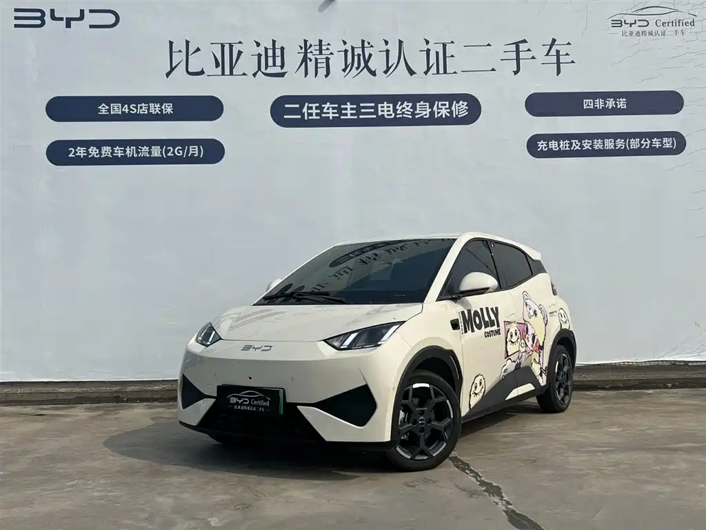 BYD Seagull 2025 Smart Drive Edition 305km Freedom Version