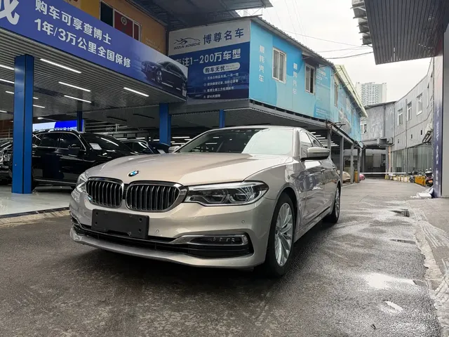 BMW 5 Series New Energy 2019 530Le Luxury Package