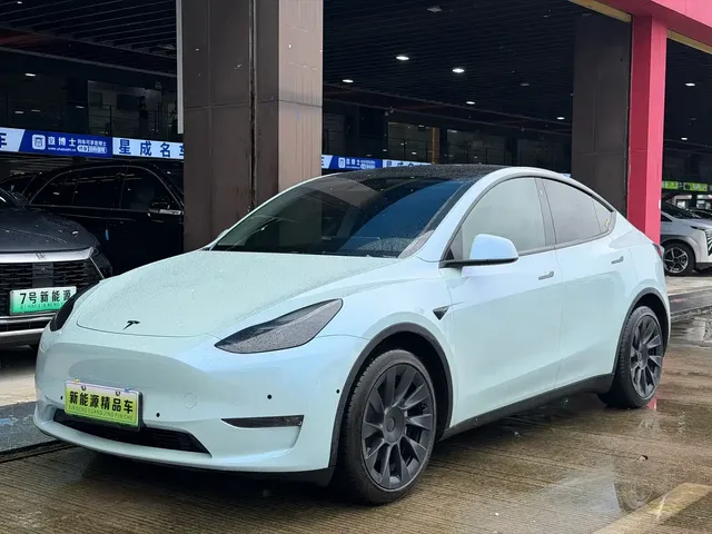 Tesla Model Y 2021 Standard Range Rear-Wheel Drive
