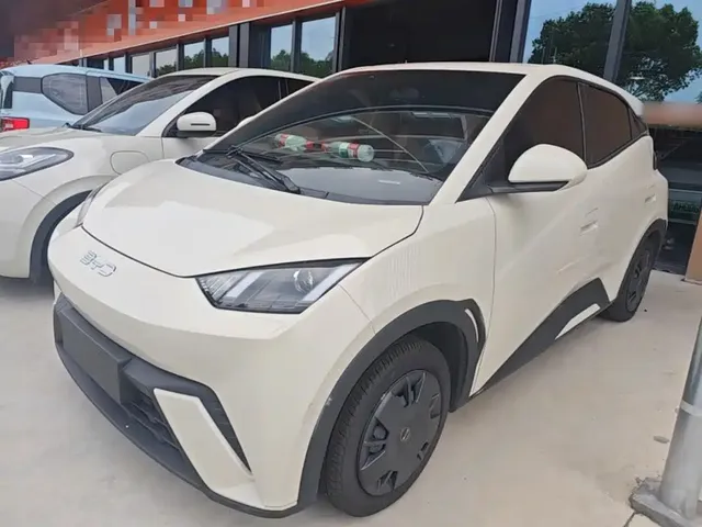 BYD Seagull 2024 Glory Edition 305km Vitality Edition