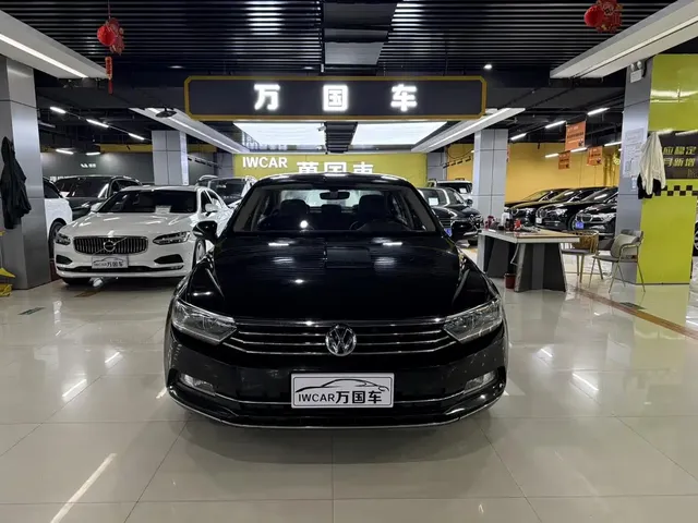 Volkswagen Magotan 2019 330TSI DSG Luxury Class China VI