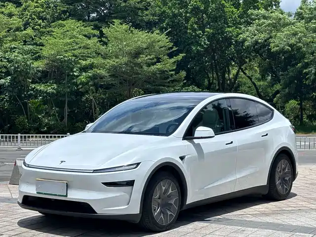 Tesla Model Y 2025 Rear-Wheel Drive