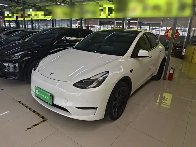 Tesla Model Y 2021 Long Range All-Wheel Drive 3D7