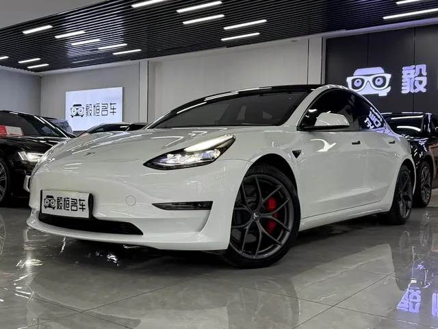 Tesla Model 3 2021 Performance High-Performance All-Wheel Drive