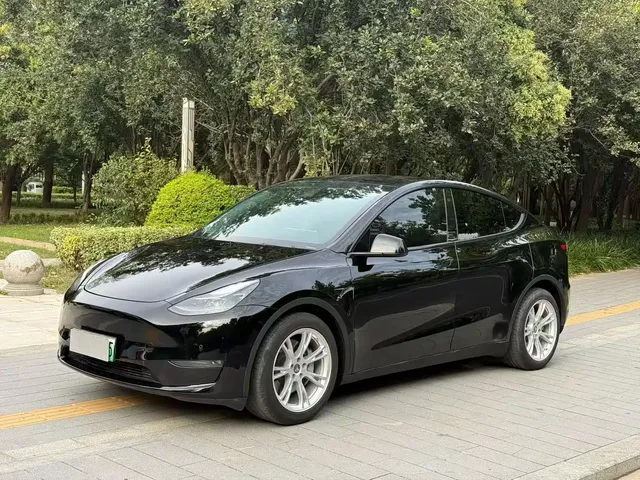 Tesla Model Y 2021 Standard Range Rear-Wheel Drive
