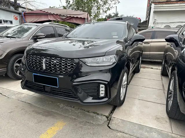 WEY VV5 2020 1.5T 2WD Style Pioneer