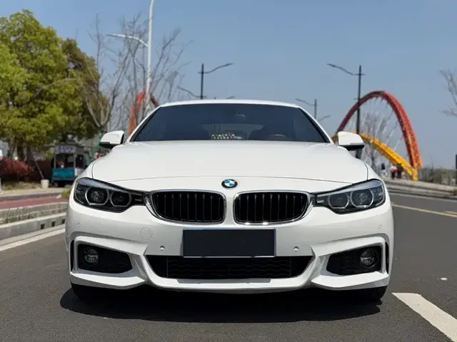 BMW 4 Series 2019 425i Convertible M Sport Package